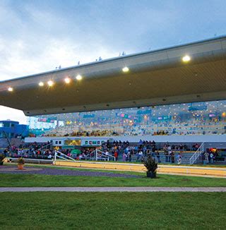 igb upcoming sweepstakes|shelbourne park results.